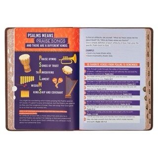 Lion Brown Faux Leather Kid's KJV Bible