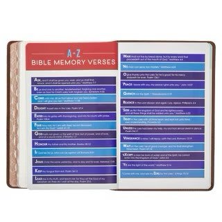 Lion Brown Faux Leather Kid's KJV Bible