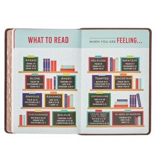 Lion Brown Faux Leather Kid's KJV Bible