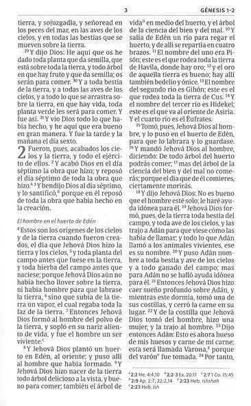 Biblia para niños interactiva, tapa dura