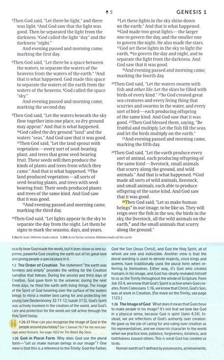 NLT Student Life Application Study Bible, LeatherLike, Teal Blue Stripped, Indexed