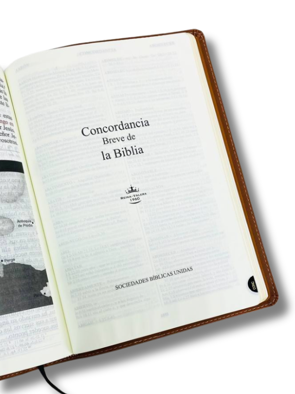 Biblia Letra Gigante 14 puntos Índice