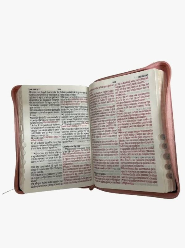 Biblia Tamaño Manual Letra Grande Rosada y Marrón 14 puntos (Zipper)