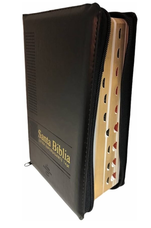 Biblia Tamaño Manual Letra Grande Negro 14 puntos (Zipper)