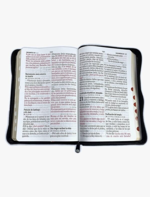 Biblia Tamaño Manual Letra Grande Negro 14 puntos (Zipper)