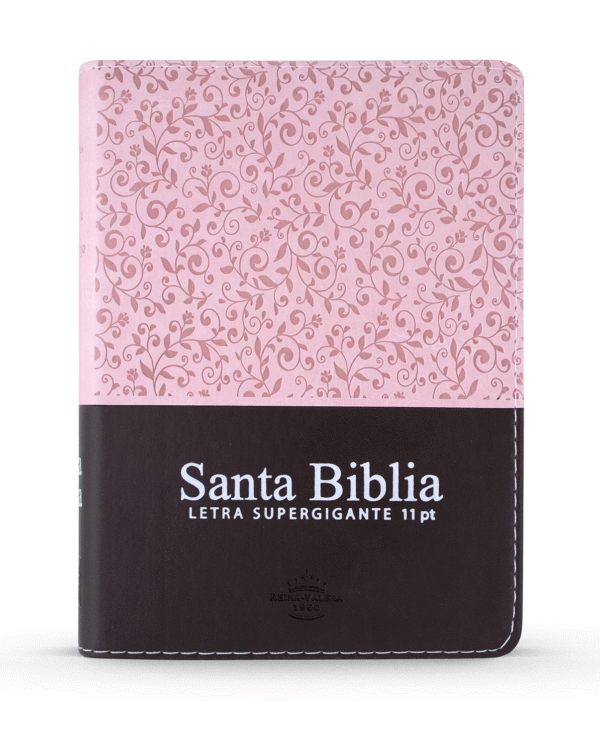 Biblia Compacta Letra Grande Rosada 11 puntos (Zipper)