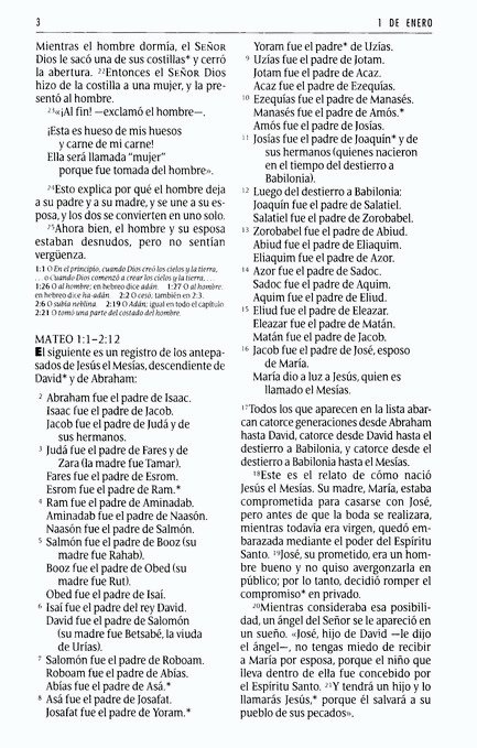 NTV La Biblia en un Año