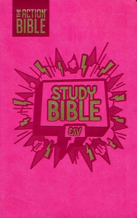 ESV Action Study Bible Pink