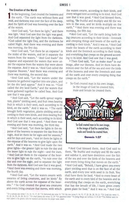 ESV Action Study Bible Blue