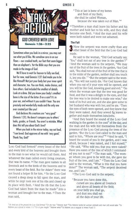 ESV Action Study Bible Pink