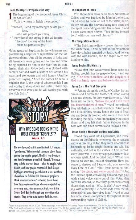 ESV Action Study Bible Pink