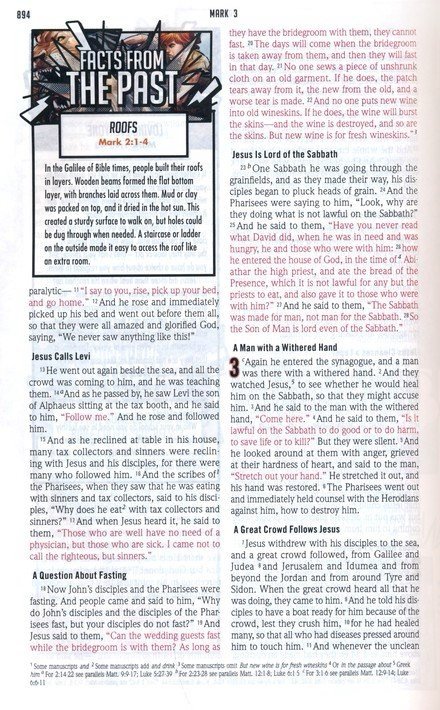 ESV Action Study Bible Blue