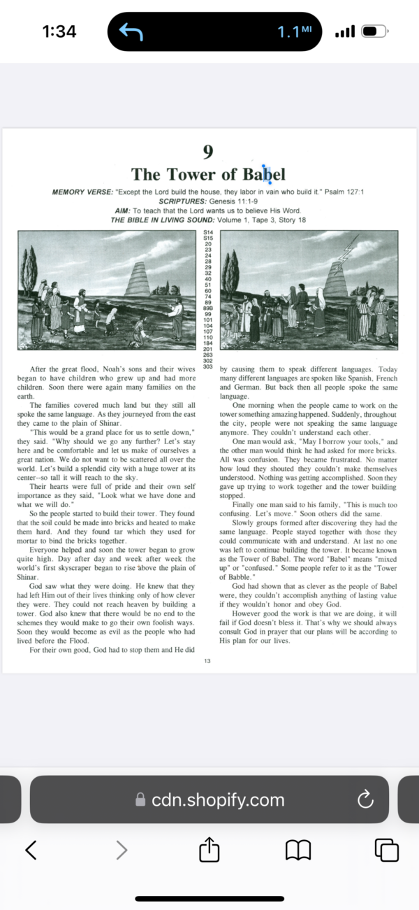 img_1272 Biblia en Felpa Grande (Franelógrafo) Español