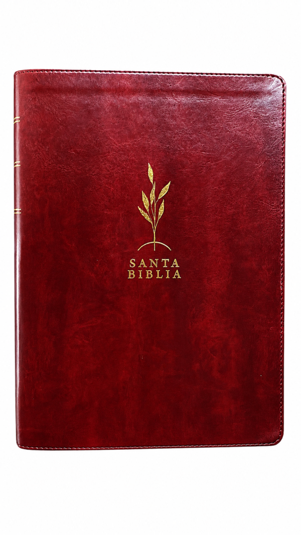 Biblia de Estudio Diario Vivir Letra Grande Índice Rojo Vino