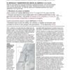 Biblia de Estudio Diario Vivir Letra Grande Índice Rojo Vino