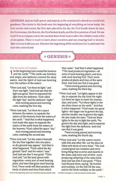 img_3279 NLT Thrive Devotional Bible for Women Rose Metallic