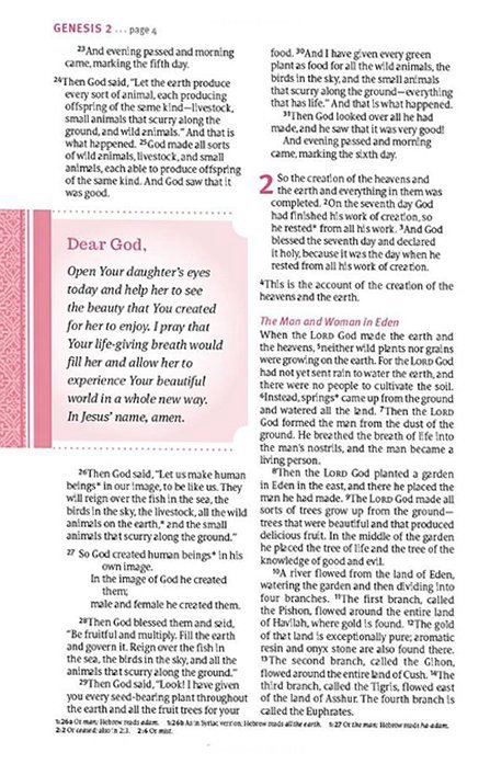 img_3280 NLT Thrive Devotional Bible for Women Rose Metallic