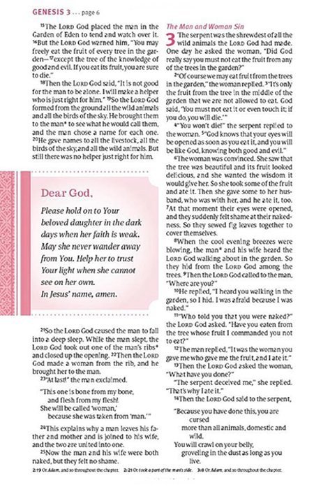 img_3282-3 NLT Thrive Devotional Bible for Women Rose Metallic