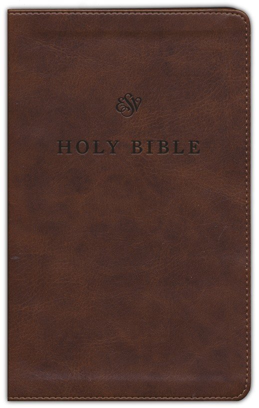 img_4001 ESV Premium Bible (6-8 Grades)