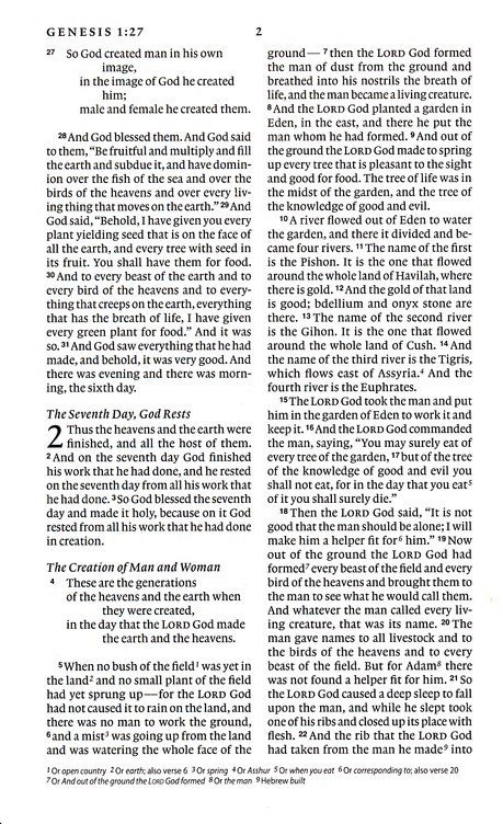 img_4003-3 ESV Premium Bible (6-8 Grades)