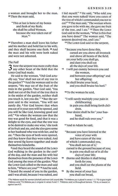 img_4004-3 ESV Premium Bible (6-8 Grades)