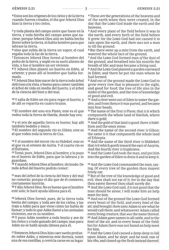 RVR 1960/KJV Biblia bilingue letra grande, borgona imitacion piel, con indice