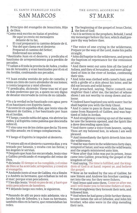 RVR 1960/KJV Biblia bilingue letra grande, borgona imitacion piel, con indice