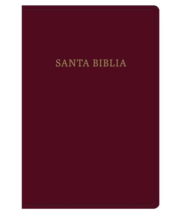 img_5156 Biblia Letra Gigante. Piel fabricada, BorgoƱa con Indice