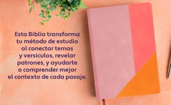 img_5201 Biblia de Estudio Arcoíris, Rosa Cuarzo, Símil piel con Índice