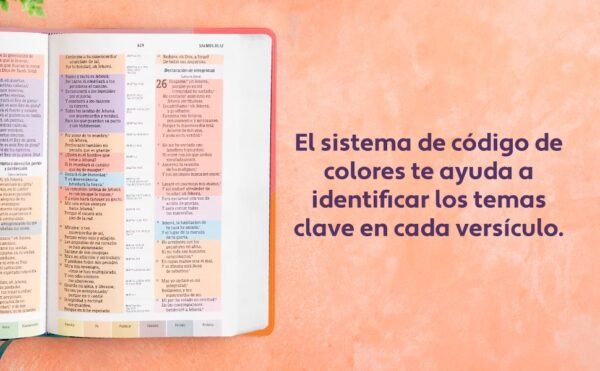 img_5203 Biblia de Estudio Arcoíris, Rosa Cuarzo, Símil piel con Índice