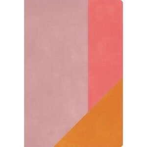 Biblia de Estudio Arcoíris, Rosa Cuarzo, Símil piel