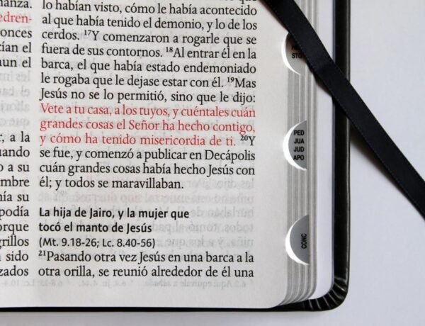 Biblia León de la Tribu de Judá Negro Índice
