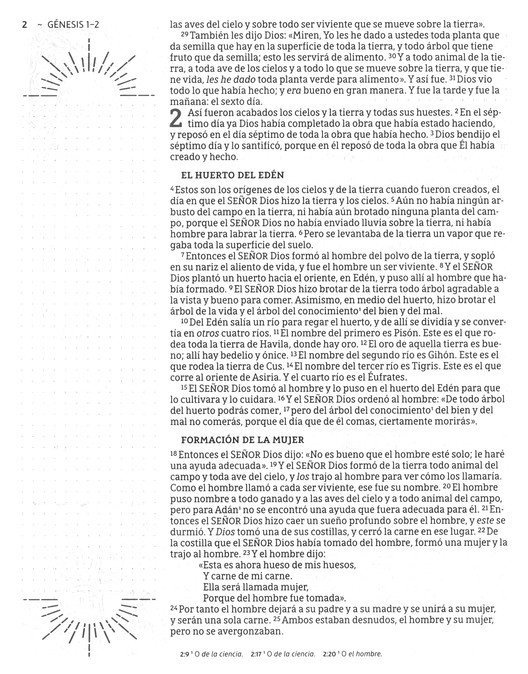 img_5749 Biblia NBLA Artistica Ilustrada, Piel Imit. Multicolor Crema