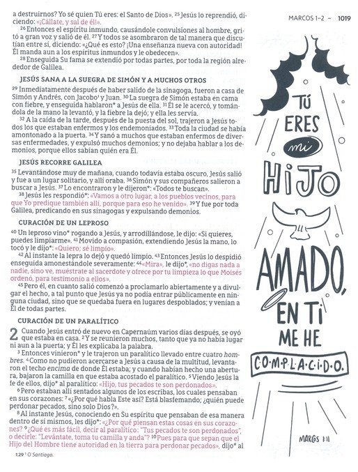 img_5752 Biblia NBLA Artistica Ilustrada, Piel Imit. Multicolor Crema