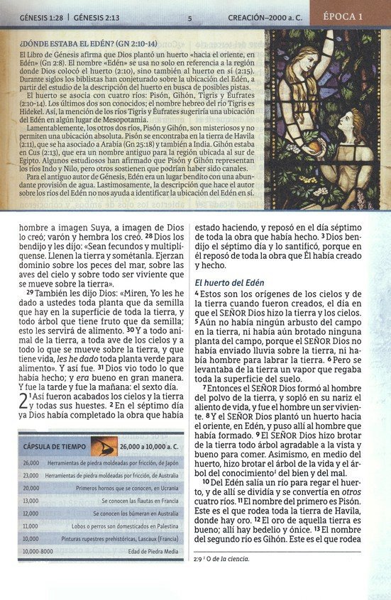 img_5778 NBLA, Biblia de Estudio Cronológica, Interior a Cuatro Colores, Imitación Piel Negro